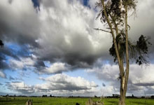 东升国际官网:15球,费兰-托雷斯替补登场进球数位列巴萨队史第三.