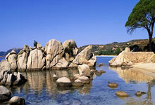 东升国际官网：[国内球]全国青少年三大球运动会男决赛：上海VS山东.